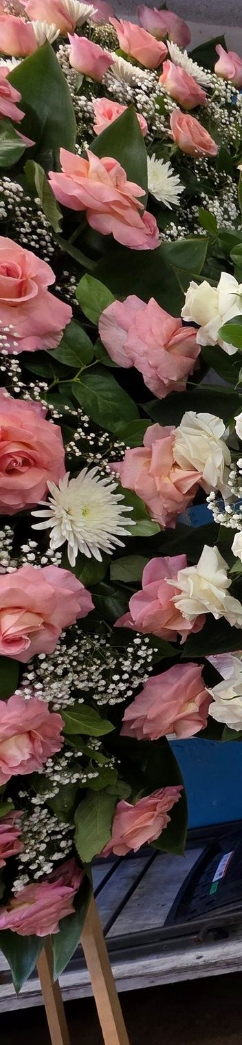 Pink roses for onboard celebrations