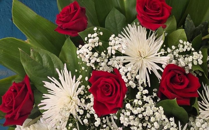 Close-up of premium red rose heads
